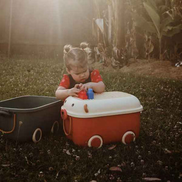 Blushing Bear Ride a Long Storage